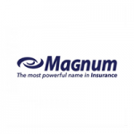 Magnum Auto Insurance Reviews