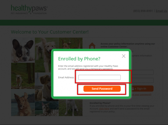 healthy paws pet insurance enroll - step 4